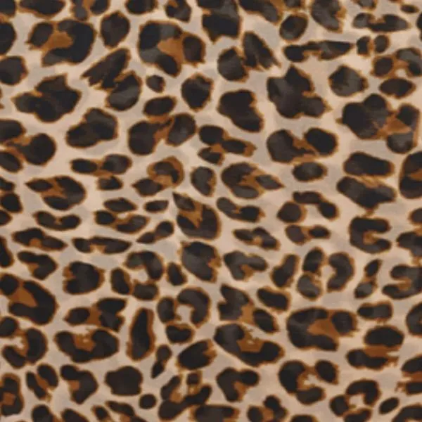 Latisha Strappy Leopard Print Bodysuit